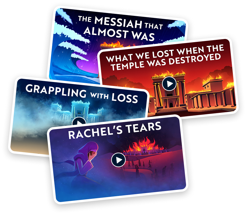 4 Top-Watched Videos