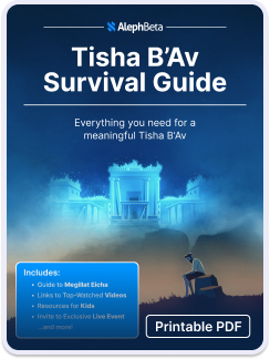 Tisha B'Av Survival Guide — printable PDF